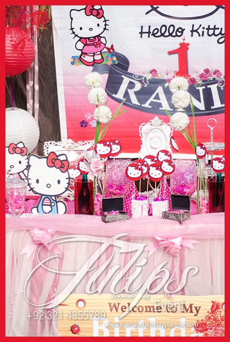 best-hello-kitty-birthday-party-theme-ideas-in-lahore-pakistan-29