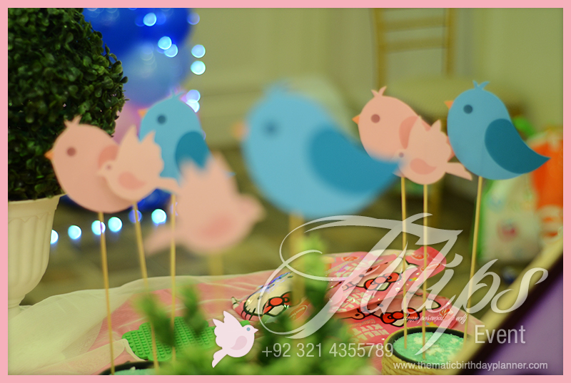 cute-little-birds-themed-party-ideas-in-lahore-pakistan-10