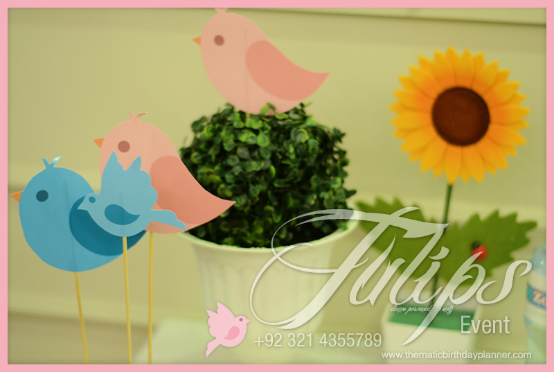 cute-little-birds-themed-party-ideas-in-lahore-pakistan-31