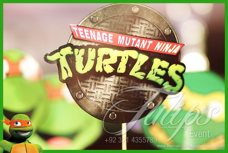 teenage-mutant-ninja-turtles-party-ideas-in-lahore-pakistan-21