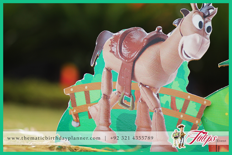 toy-story-thematic-birthday-planner-in-lahore-pakistan-31