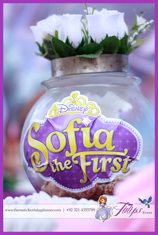 sofia-the-first-girls-party-theme-ideas-in-lahore-pakistan-18
