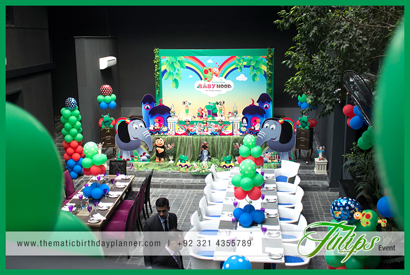 baby-tv-birthday-party-theme-ideas-in-lahore-pakistan-14