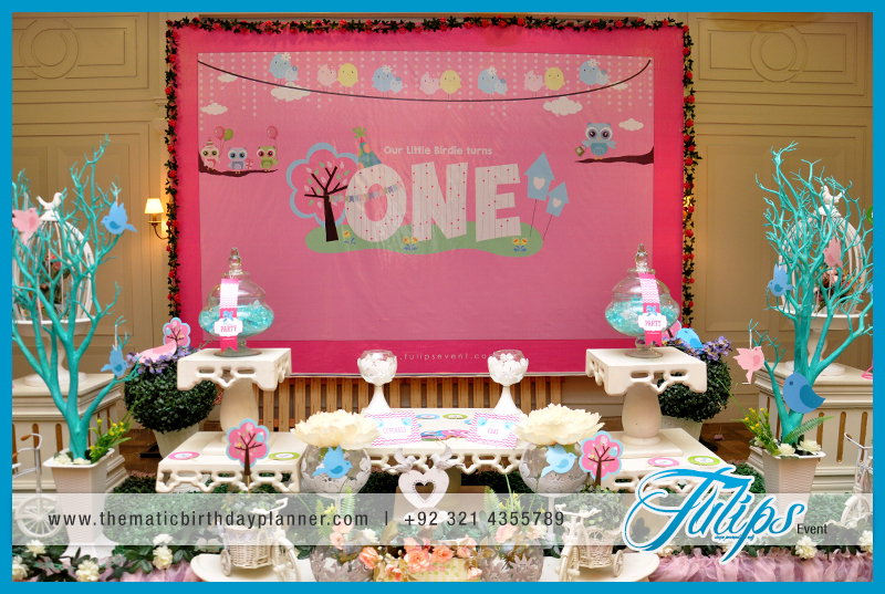 sweet-little-birdie-themed-birthday-party-ideas-pakistan-9