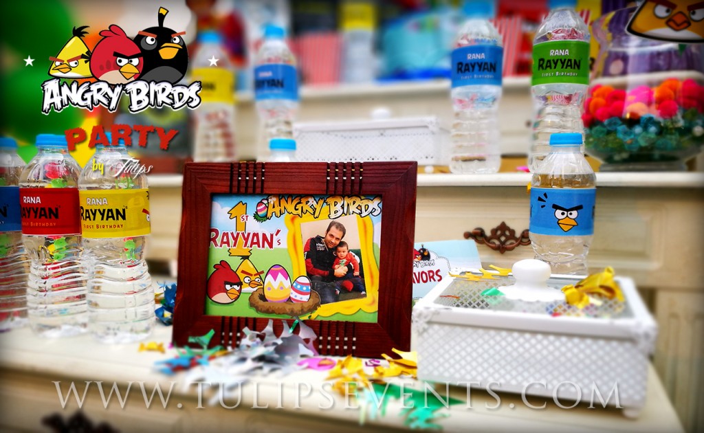 Angry Birds Party Ideas tulips events in Pakistan (4)