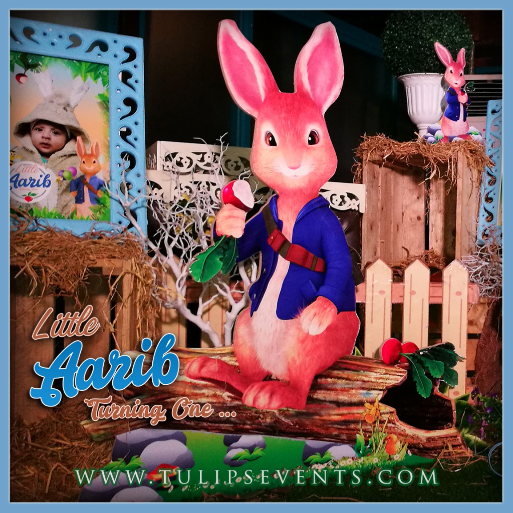 peter rabbit themed 1st birthday party decoration ideas in Pakistan (6)