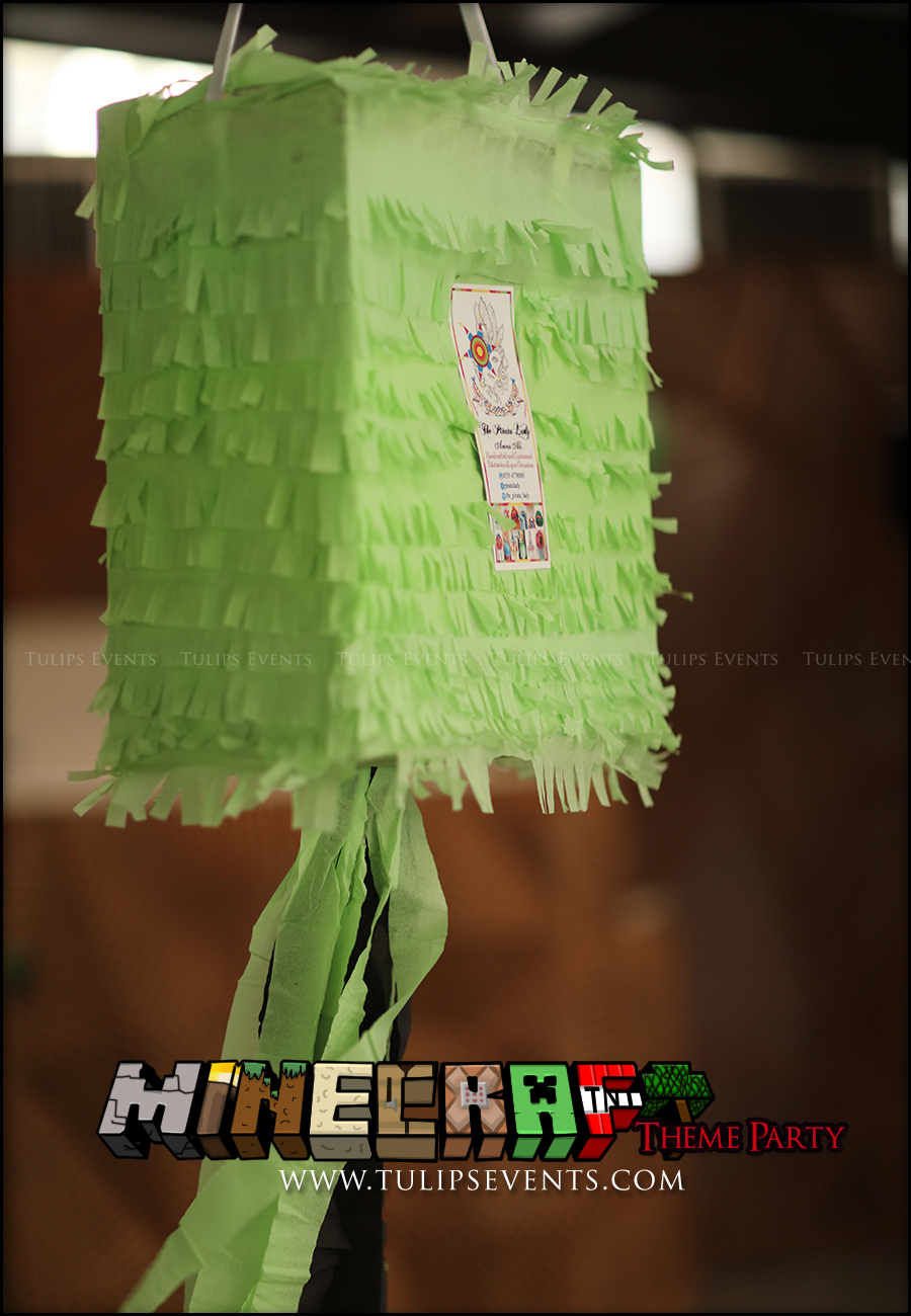minecraft-birthday-party-theme-decoration-ideas-in-pakistan-17