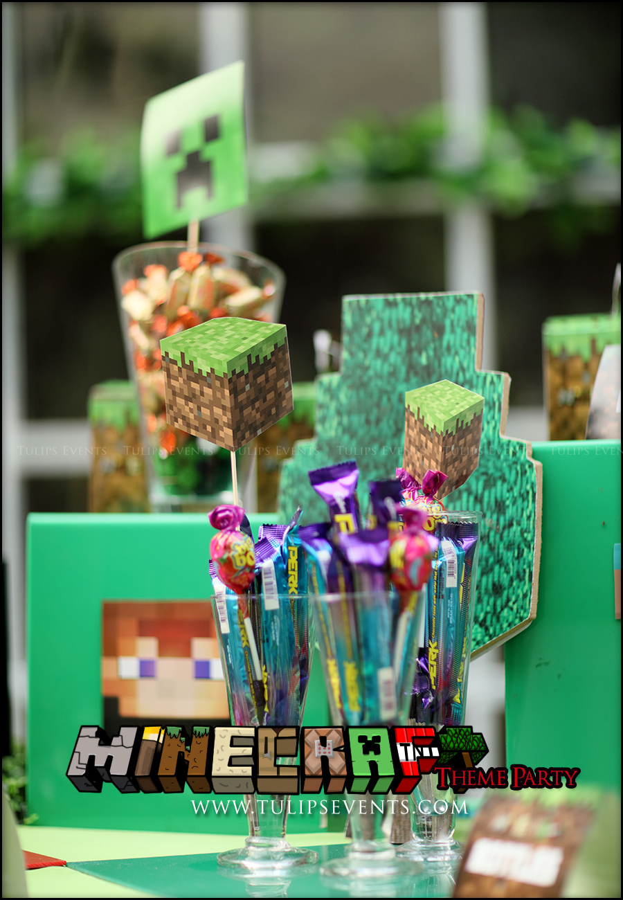 minecraft-birthday-party-theme-decoration-ideas-in-pakistan-19