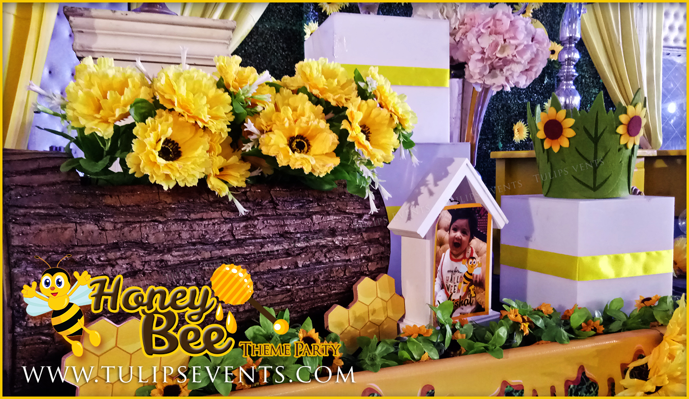 honey-bee-themed-first-birthday-party-ideas-in-pakistan-1