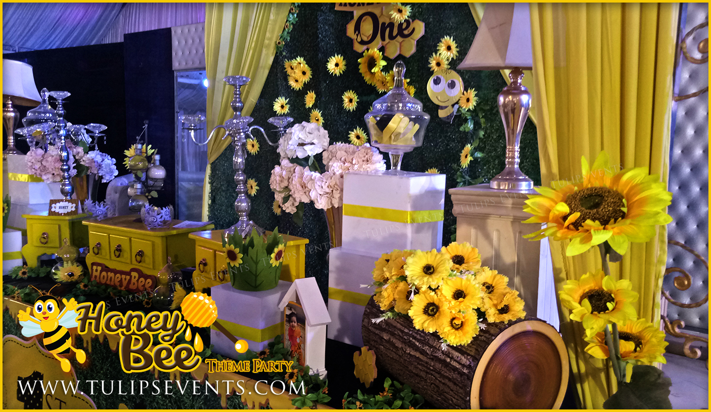 honey-bee-themed-first-birthday-party-ideas-in-pakistan-12