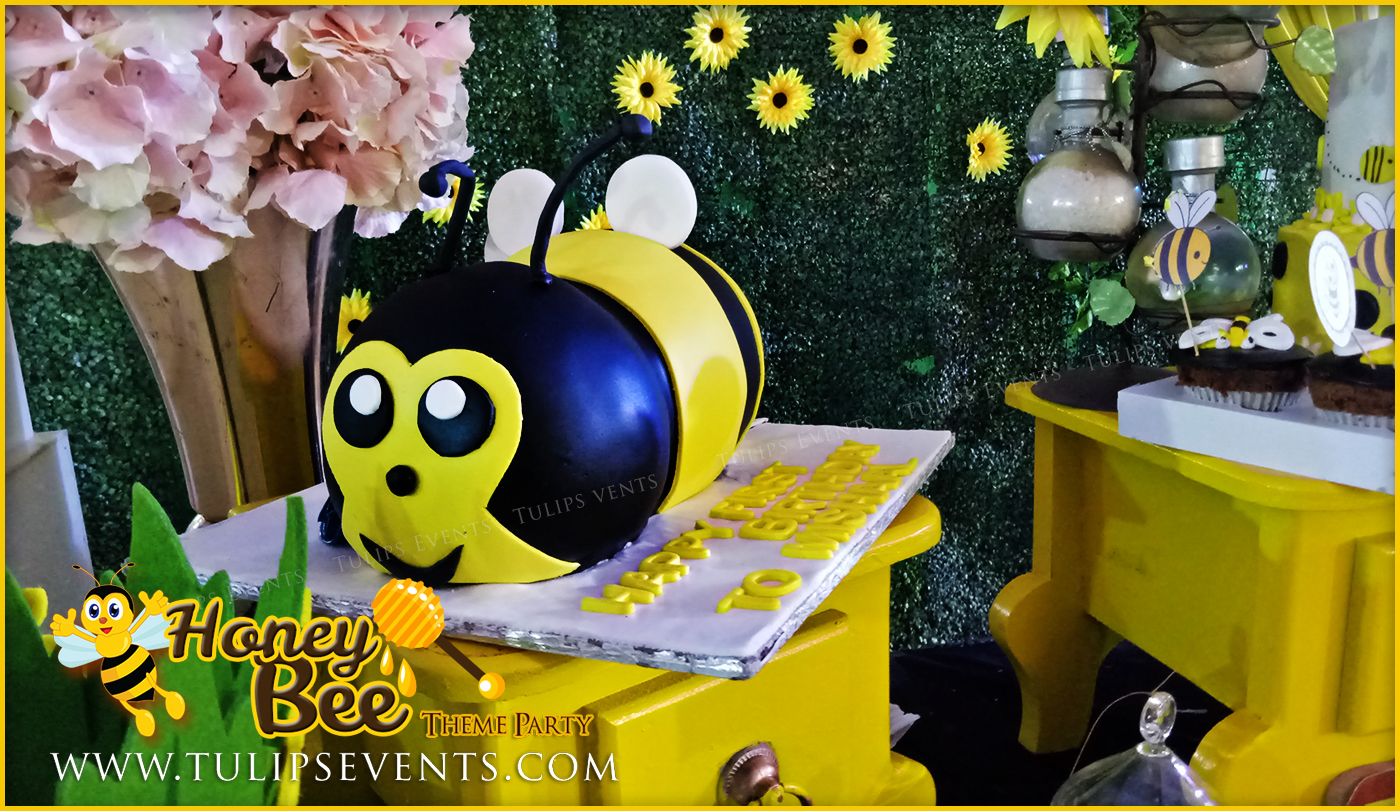 honey-bee-themed-first-birthday-party-ideas-in-pakistan-5