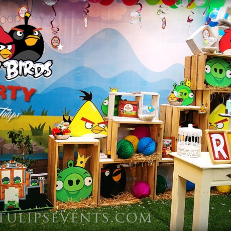Angry Birds Party Theme