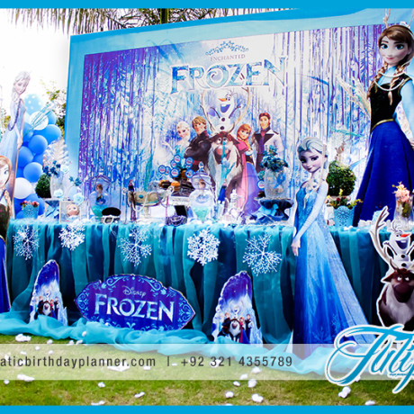 Frozen Wonderland Party