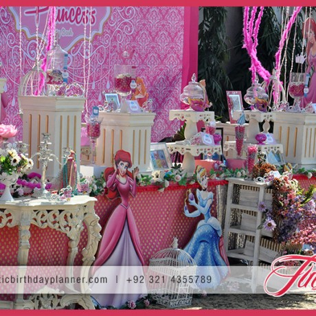 Pink Girls Party Theme