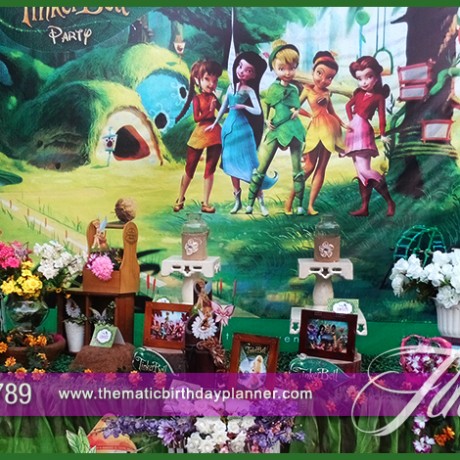 Fairy Tinkerbell Party Theme