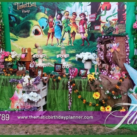 Tinker Bell Fairy Party