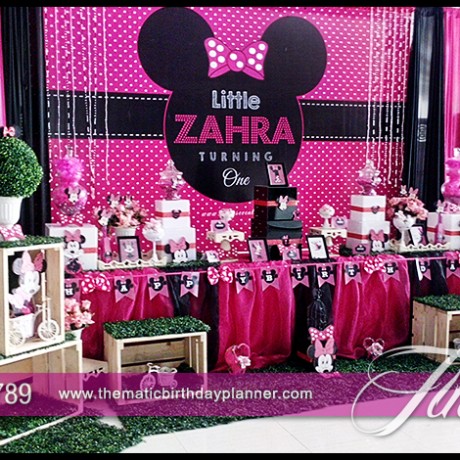Minnie Mouse Party Theme