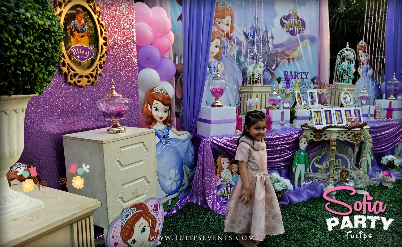 Sofia The First Birthday Party Decoration Ideas In Pakistan Best