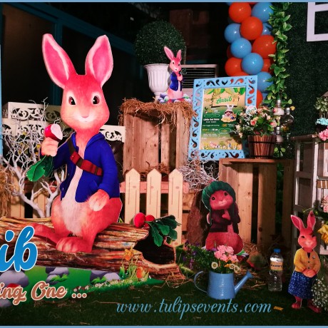 Peter Rabbit Theme Party