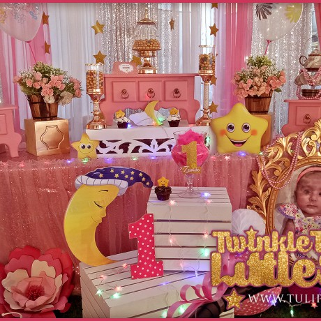 Twinkle Twinkle Little Star Theme Party