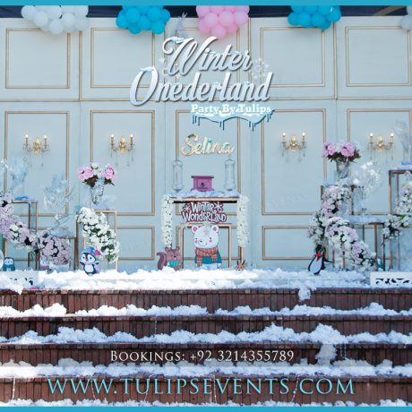 Winter Onederland Decor Ideas